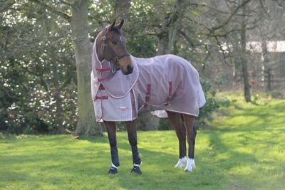 WeatherBeeta ComFiTec Ripshield Plus Detach-A-Neck Fly Horse Sheet