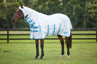 WeatherBeeta Sweet Itch Shield Combo Neck Horse Fly Sheet