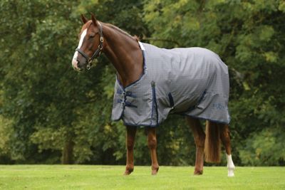 Saxon 600D Horse Cover II with Shoulder Gussets and Standard Neck, Mediumweight, 180g