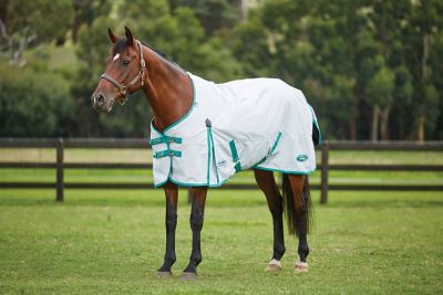 WeatherBeeta Green-Tec Plus 900D Horse Sheet with Standard Neck, Lite