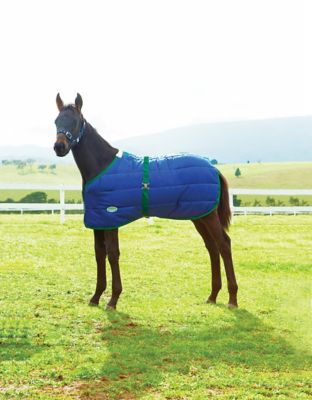 WeatherBeeta 420D Foal Sheet with Standard Neck, Mediumweight
