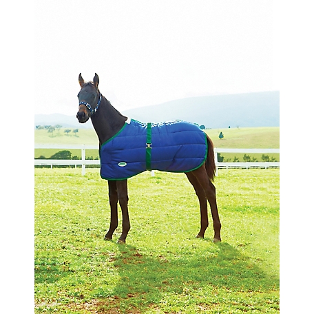 WeatherBeeta 420D Foal Sheet with Standard Neck, Mediumweight