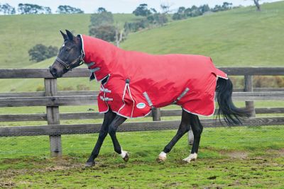 Image showing  ComFiTec Classic 300g/600D Polyester Heavyweight Combo Horse Cover with Neck, Heavyweight
