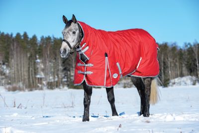 WeatherBeeta ComFiTec Classic 300g/600D Polyester Heavyweight Combo Horse Cover with Neck, Heavyweight