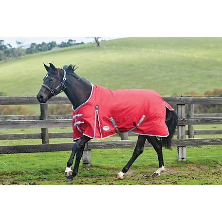 WeatherBeeta ComFiTec Classic Standard Neck, Lite Horse Blanket