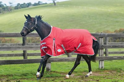 WeatherBeeta ComFiTec Classic 0g/600D Polyester Lightweight Standard Neck Horse Blanket