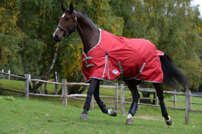 WeatherBeeta ComFiTec Classic 220g/600D Polyester Mediumweight Standard Neck Horse Blanket