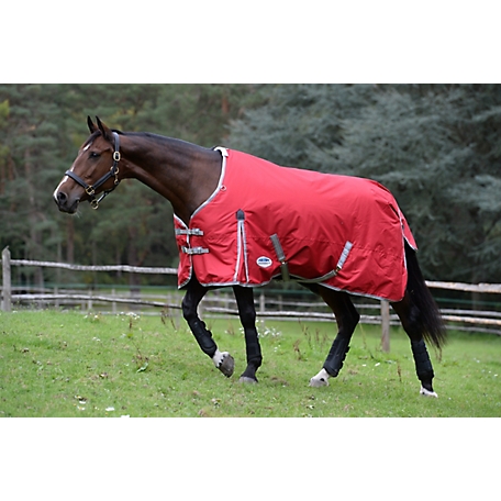 WeatherBeeta ComFiTec Classic Standard Neck, Mediumweight Horse Blanket