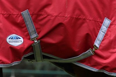 Image showing  ComFiTec Classic 220g/600D Polyester Mediumweight Standard Neck Horse Blanket