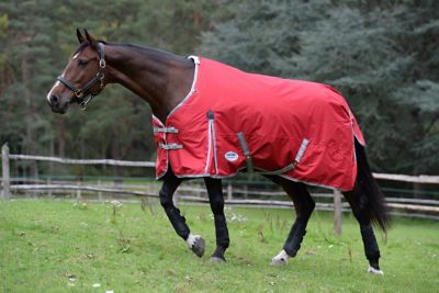 WeatherBeeta ComFiTec Classic 220g/600D Polyester Mediumweight Standard Neck Horse Blanket