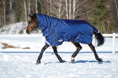 WeatherBeeta ComFiTec Ultra Tough II Horse Sheet with Detach-A-Neck, Mediumweight