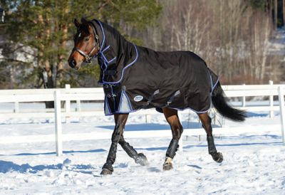 WeatherBeeta ComFiTec Ultra Cozi II Horse Cover with Detach-A-Neck, Mediumweight