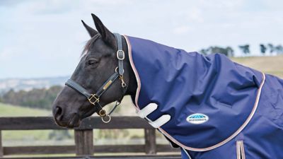 WeatherBeeta ComFiTec Essential Neck Horse Rug, Lite, 0g