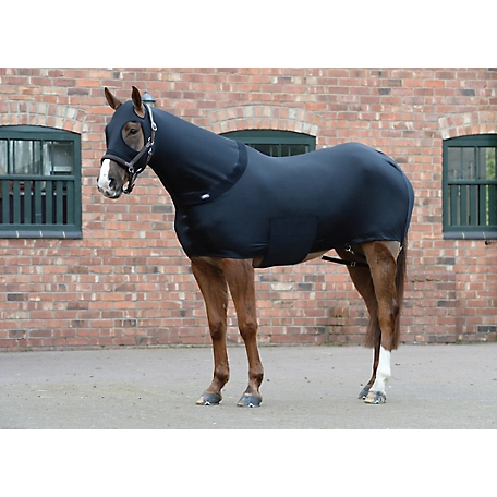WeatherBeeta Horse Mane Stretch Rug Horse Blanket