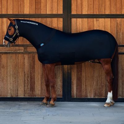 Image showing  Polyester Horse Mane Stretch Rug Horse Blanket