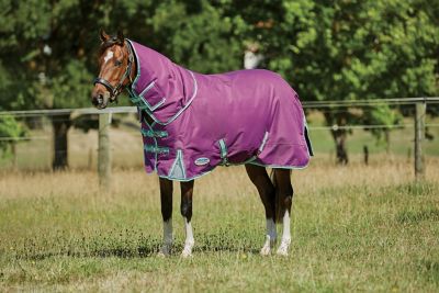 WeatherBeeta ComFiTec Premier Freedom Pony Horse Blanket with Detach-A-Neck, Mediumweight