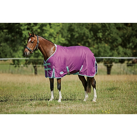 WeatherBeeta ComFiTec Premiere Freedom Pony Horse Blanket with Standard Neck, Mediumweight
