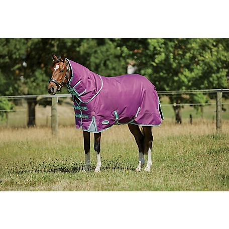 WeatherBeeta ComFiTec Premiere Freedom Pony Horse Blanket with Detach-A-Neck, 0g, Lite