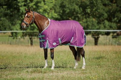 WeatherBeeta ComFiTec Premiere Freedom Pony Horse Blanket with Standard Neck, 0g, Lite