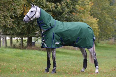 WeatherBeeta ComFiTec Plus Dynamic II 360g/1200D Heavyweight Horse Blanket with Detach-A-Neck, Heavyweight