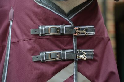 Image showing  ComFiTec Plus Dynamic II 360g/1200D Heavyweight Horse Blanket with Detach-A-Neck, Heavyweight