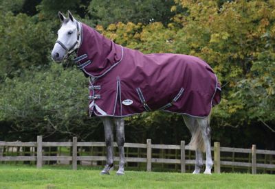 WeatherBeeta ComFiTec Plus Dynamic II Horse Blanket with Detach-A-Neck, Mediumweight