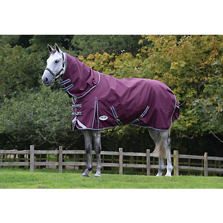WeatherBeeta ComFiTec Plus Dynamic II Horse Blanket with Detach-A-Neck, Mediumweight