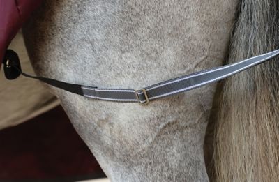 Image showing  ComFiTec Plus Dynamic II Horse Blanket with High Neck, Mediumweight