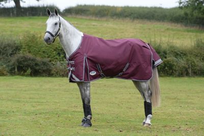 WeatherBeeta ComFiTec Plus Dynamic II Horse Blanket with Standard Neck, Medium Weight