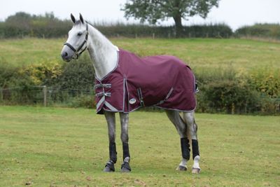 WeatherBeeta ComFiTec Plus Dynamic II 100g/1200D Medium/Lightweight Horse Blanket with Standard Neck