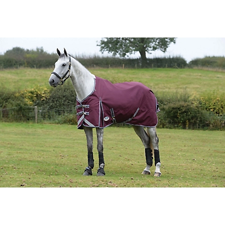 WeatherBeeta ComFiTec Plus Dynamic II Horse Blanket with Standard Neck, Medium/Lite