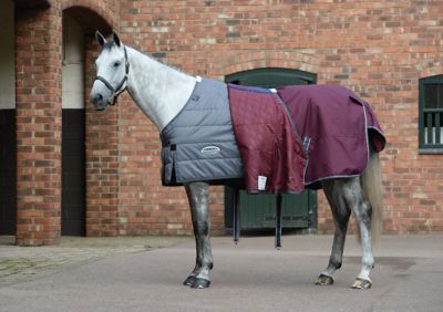 Image showing  ComFiTec Plus Dynamic II 100g/1200D Medium/Lightweight Horse Blanket with Standard Neck