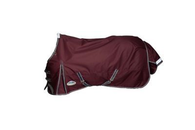 Image showing  ComFiTec Plus Dynamic II 100g/1200D Medium/Lightweight Horse Blanket with Standard Neck