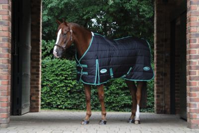WeatherBeeta Green-Tec Stable Horse Cover with Standard Neck, 150g, Medium/Lite