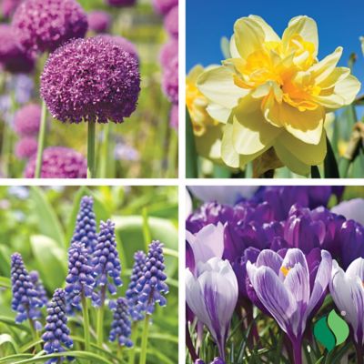 DeGroot Deer Resistant Garden Bulb Mix, 50 count