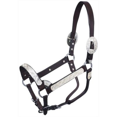Tough-1 Leather Premium Bright Cut Edge Silver with Silver Scroll Show Horse Halter