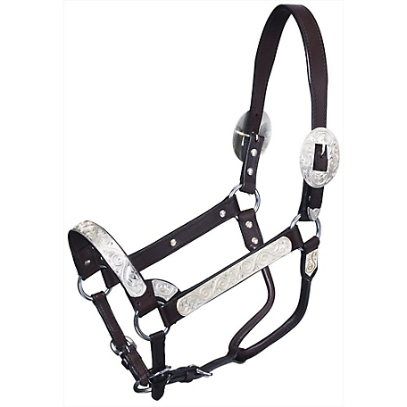 Tough-1 Leather Premium Bright Cut Edge Silver with Silver Scroll Show Horse Halter