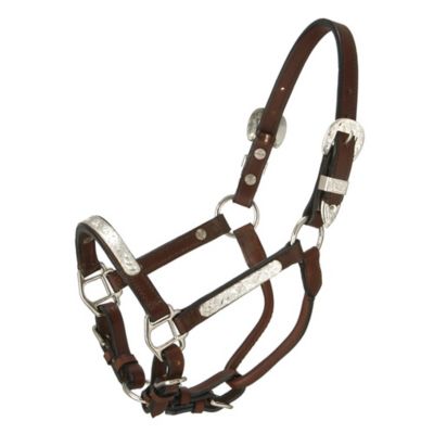 Tough-1 Silver Bar Show Horse Halter, 18-39