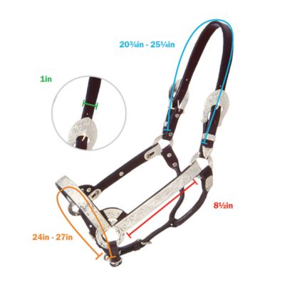 Image showing  Bright Cut Edge Silver Leather Show Halter