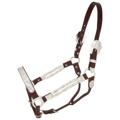 Tough-1 Leather Silver Ferrules Show Horse Halter