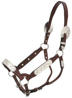 Tough-1 Leather Congress Show Horse Halter, 1 in.