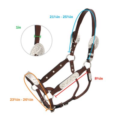 Image showing  Leather Congress Show Horse Halter, 1 in.