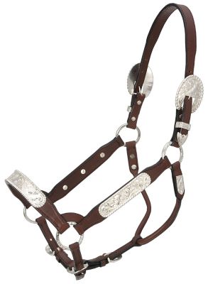 Image showing 0 th Tough1 Leather Congress Show Horse Halter, 1 in.