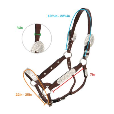 Image showing 1 th Tough1 Leather Congress Show Horse Halter, 1 in.
