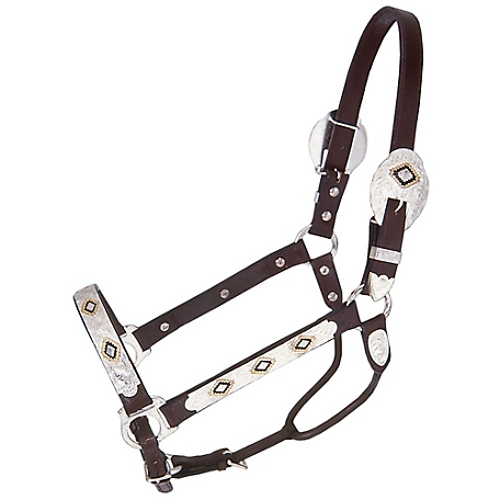 Tough-1 Leather Gold and Black Silver Show Horse Halter