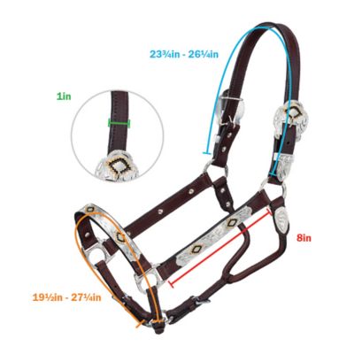 Image showing  Leather Show Horse Halter, Gold/Black/Silver
