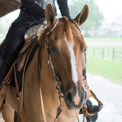 Image showing  Rawhide/Ferruled Silver Double Ear Show Headstall