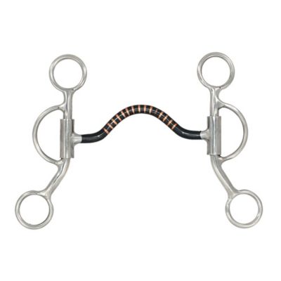 Image showing  5 in. Shank Kelly Sweet Iron Bit