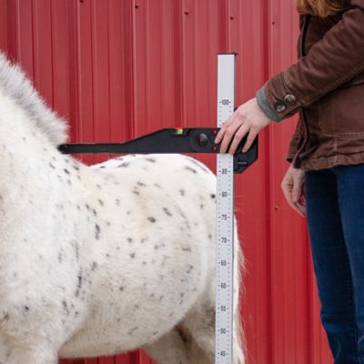 Image showing  Aluminum Horse Measuring Stick for Miniature Horses