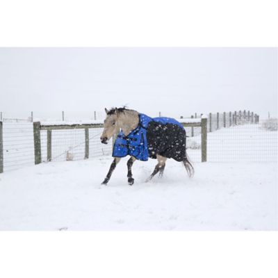 Image showing 4 th Tough1 250g/1200D Poly Waterproof Horse Turnout Blanket with Belly Wrap and Snuggit Neck